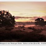 Ruhrgebiet - Haltern am See - Westruper Heide - Fotos I. Milde & G.Zelle